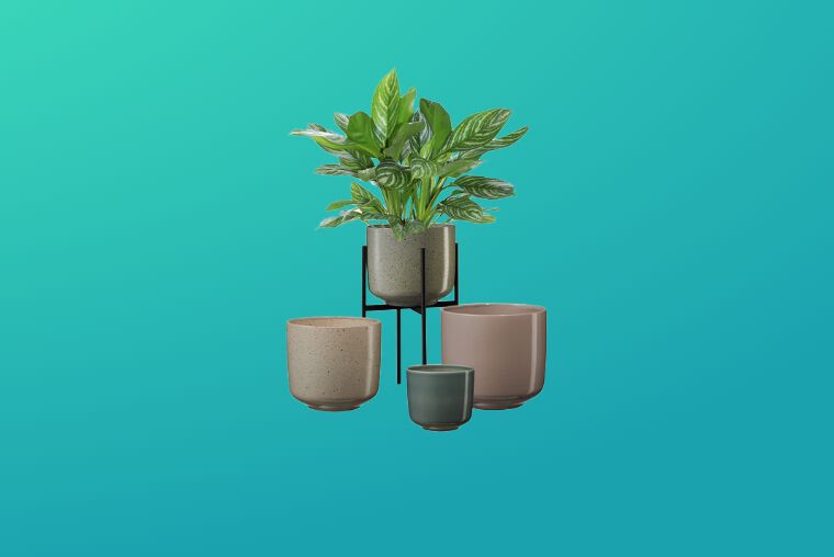 Pots & Planters